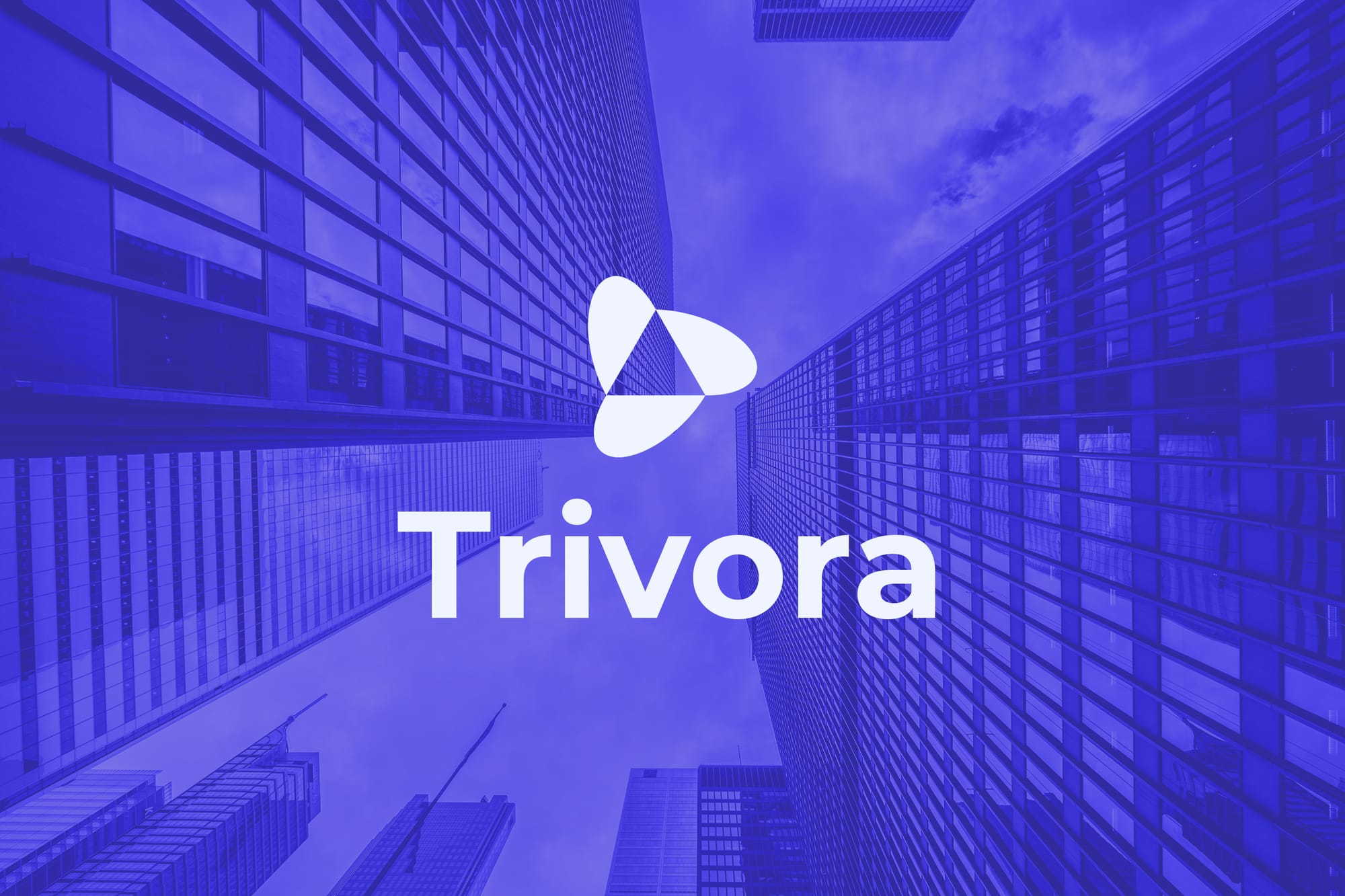 Trivora Identity Design
